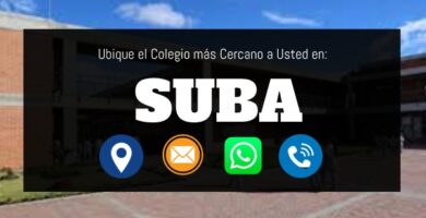 colegios en la localidad de suba