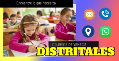 venecia-colegios-distritales